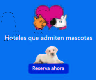 HotelesMascotas.com