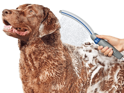 Accesorio rociador de ducha del perro en casa. Waterpik.
