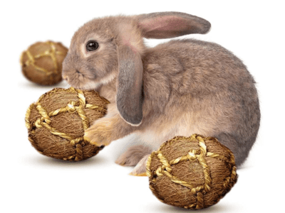 Bola de cuerda de fibra de coco para conejos. Sungrow.
